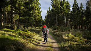 Von so manchem unterschätzt: Wandern hält fit © 2015 Photothek